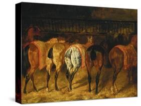 Five Horses Viewed from the Back-Théodore Géricault-Stretched Canvas