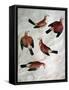 Five Jays-Antonio Pisani Pisanello-Framed Stretched Canvas
