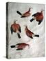 Five Jays-Antonio Pisani Pisanello-Stretched Canvas