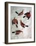 Five Jays-Antonio Pisani Pisanello-Framed Giclee Print