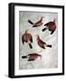 Five Jays-Antonio Pisani Pisanello-Framed Giclee Print