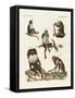 Five Kinds of Monkeys-null-Framed Stretched Canvas