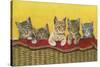 Five Kittens in Basket-Janet Pidoux-Stretched Canvas