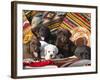 Five Labrador Retriever Puppies of All Colors on Southwestern Blankets-Zandria Muench Beraldo-Framed Photographic Print