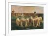 Five Lambs, 1988-Richard Yaco-Framed Art Print