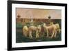 Five Lambs, 1988-Richard Yaco-Framed Art Print