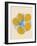 Five Lemons in a Net Bag-Rosi Feist-Framed Giclee Print