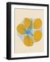 Five Lemons in a Net Bag-Rosi Feist-Framed Giclee Print