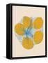 Five Lemons in a Net Bag-Rosi Feist-Framed Stretched Canvas