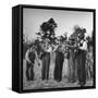 Five Male Musicians Dressed in Hats and Bib Overalls Standing in a Field-Eric Schaal-Framed Stretched Canvas