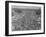 Five Million Indians Flee Shortly after the Newly Created Nations of India and Pakistan, 1947-Margaret Bourke-White-Framed Photographic Print