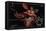 Five Nights at Freddy's - Foxy Camera-Trends International-Framed Stretched Canvas