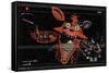 Five Nights at Freddy's - Foxy Camera-Trends International-Framed Stretched Canvas