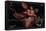 Five Nights at Freddy's - Foxy Camera-Trends International-Framed Stretched Canvas