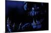 Five Nights at Freddy's - Nightmare Bonnie-Trends International-Mounted Poster