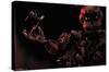 Five Nights at Freddy's - Nightmare Freddy-Trends International-Stretched Canvas