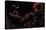 Five Nights at Freddy's - Nightmare Freddy-Trends International-Stretched Canvas