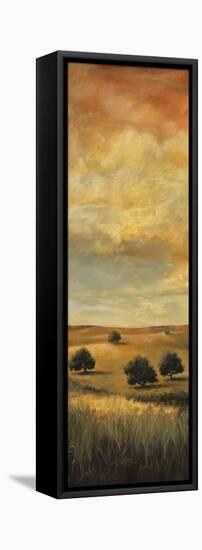 Five Oaks I-Cory Steffen-Framed Stretched Canvas