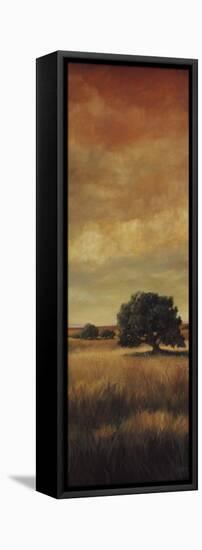Five Oaks II-Cory Steffen-Framed Stretched Canvas