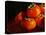 Five Persimmons-Terri Hill-Stretched Canvas