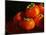 Five Persimmons-Terri Hill-Mounted Premium Giclee Print