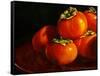 Five Persimmons-Terri Hill-Framed Stretched Canvas