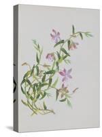 Five-Petal Pink Flowers with Thin Green Leaves-null-Stretched Canvas