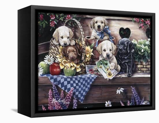 Five Puppies-Jenny Newland-Framed Stretched Canvas