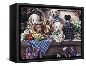 Five Puppies-Jenny Newland-Framed Stretched Canvas