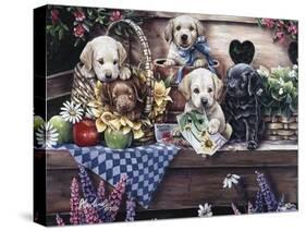 Five Puppies-Jenny Newland-Stretched Canvas
