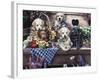 Five Puppies-Jenny Newland-Framed Giclee Print