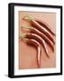 Five Red Chili Peppers-Axel Struwe-Framed Photographic Print