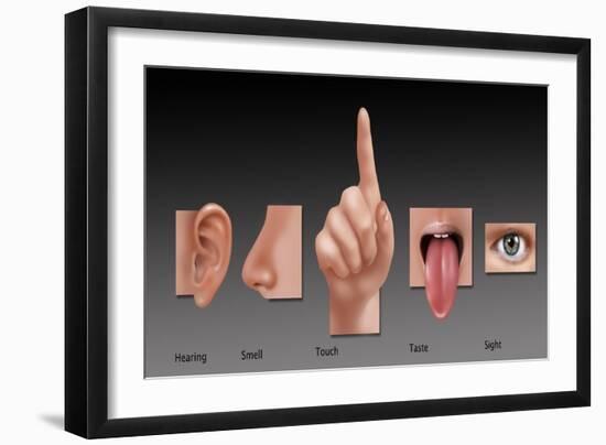 Five Senses, Illustration-Gwen Shockey-Framed Giclee Print