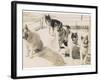 Five Sledge Dogs Wait in Their Pen for Their Next Job-null-Framed Photographic Print