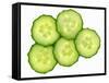 Five Slices of Cucumber-Steven Morris-Framed Stretched Canvas