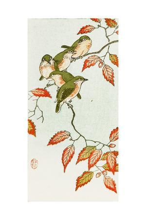 'Five Small Birds Perch on a Acorn Tree' Giclee Print - Koson Ohara ...