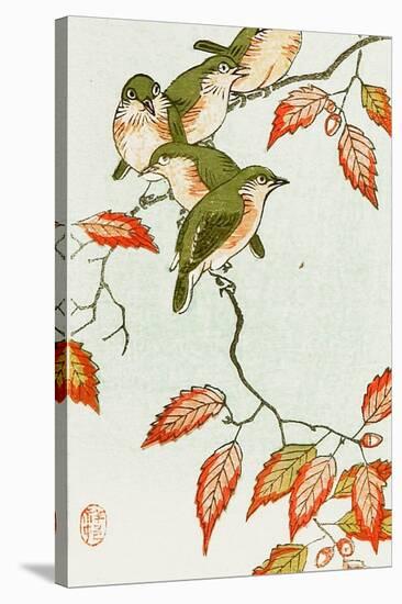 Five Small Birds Perch on a Acorn Tree-Koson Ohara-Stretched Canvas