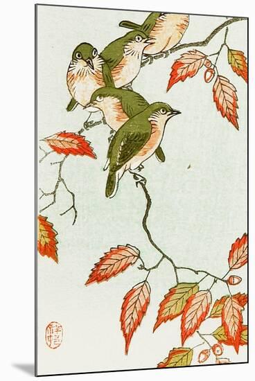 Five Small Birds Perch on a Acorn Tree-Koson Ohara-Mounted Giclee Print