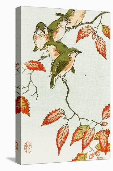 Five Small Birds Perch on a Acorn Tree-Koson Ohara-Stretched Canvas