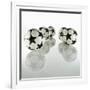 Five Soccer Balls-Newmann-Framed Photographic Print