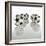 Five Soccer Balls-Newmann-Framed Photographic Print