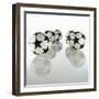 Five Soccer Balls-Newmann-Framed Photographic Print