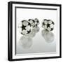 Five Soccer Balls-Newmann-Framed Photographic Print