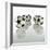 Five Soccer Balls-Newmann-Framed Photographic Print