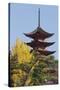 Five-Storey Pagoda (Gojunoto) in Autumn, Miyajima Island, Western Honshu, Japan-Stuart Black-Stretched Canvas