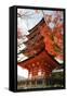 Five-Storey Pagoda (Gojunoto) in Autumn, Miyajima Island, Western Honshu, Japan-Stuart Black-Framed Stretched Canvas