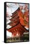 Five-Storey Pagoda (Gojunoto) in Autumn, Miyajima Island, Western Honshu, Japan-Stuart Black-Framed Stretched Canvas