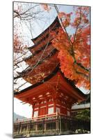 Five-Storey Pagoda (Gojunoto) in Autumn, Miyajima Island, Western Honshu, Japan-Stuart Black-Mounted Photographic Print
