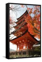 Five-Storey Pagoda (Gojunoto) in Autumn, Miyajima Island, Western Honshu, Japan-Stuart Black-Framed Stretched Canvas