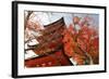 Five-Storey Pagoda (Gojunoto) in Autumn, Miyajima Island, Western Honshu, Japan-Stuart Black-Framed Photographic Print